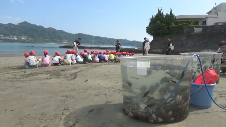 小学生がヒラメの稚魚を放流