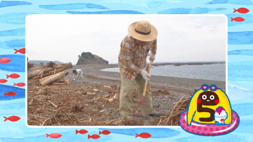 素足で歩ける海岸に！  志原海岸の清掃奉仕