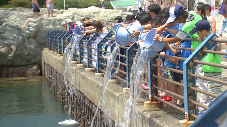 海の資源を守ろう!!マダイの稚魚の放流