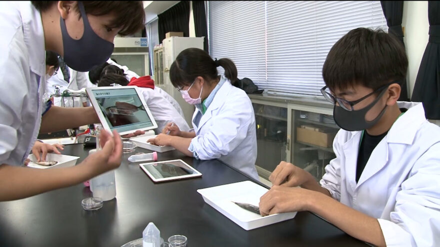 きのくにジュニアドクター育成塾 ～プラスチックごみと海洋環境～