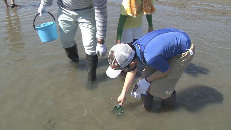 わかやま海洋サミットプロジェクト