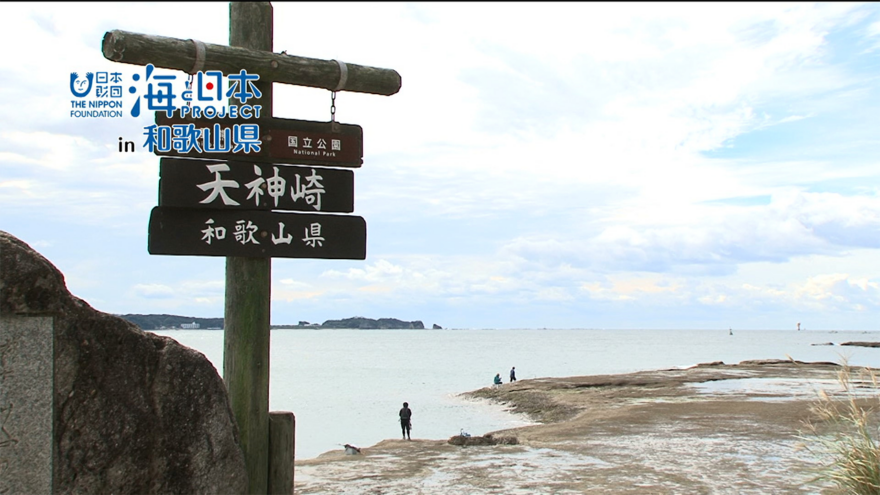 わがまちの海の大発見 「日本のナショナルトラスト発祥の地 天神崎」