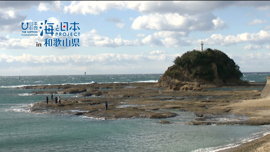 【Youtube動画公開】わがまちの海の大発見 「日本のナショナルトラスト発祥の地 天神崎」