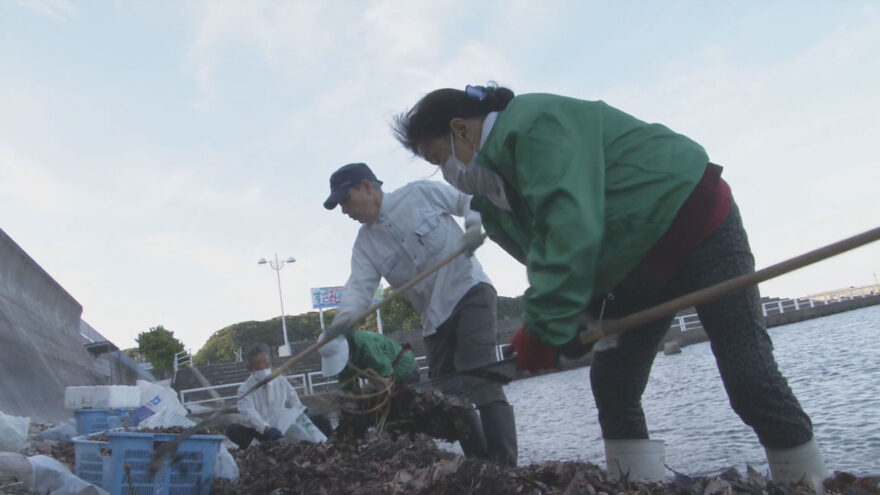 すさみ海水浴場と周辺の清掃