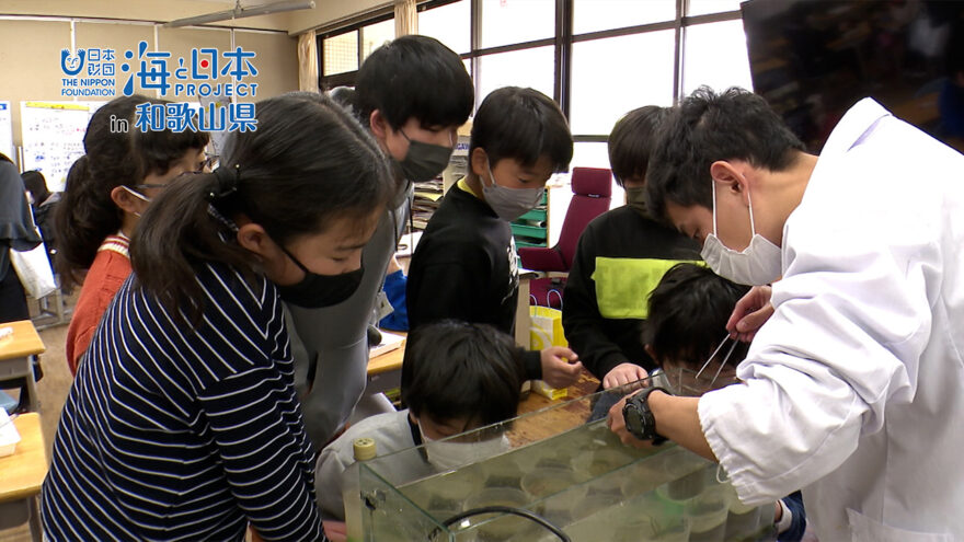 【Youtube動画公開】子どもたちが海の大切さを学ぶ！小学校で実践するアマモ育成授業