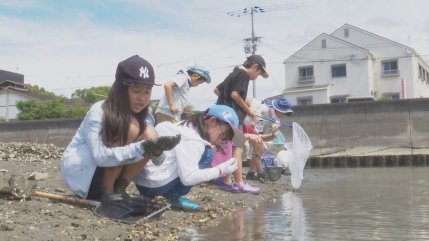 干潟の生き物観察会