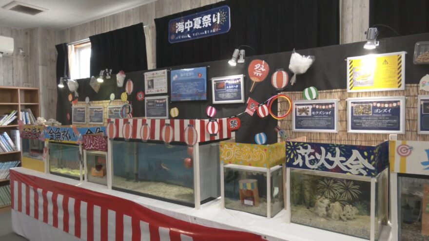 エビカニ水族館夏祭り展示