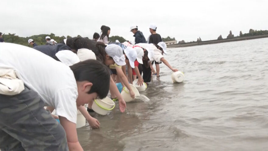 串本町で小学生が稚魚の体験放流