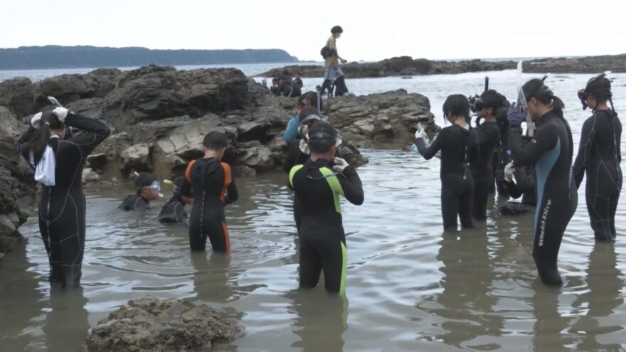 串本町で小学生が海の生き物とふれあう2日間「マリンスクール」