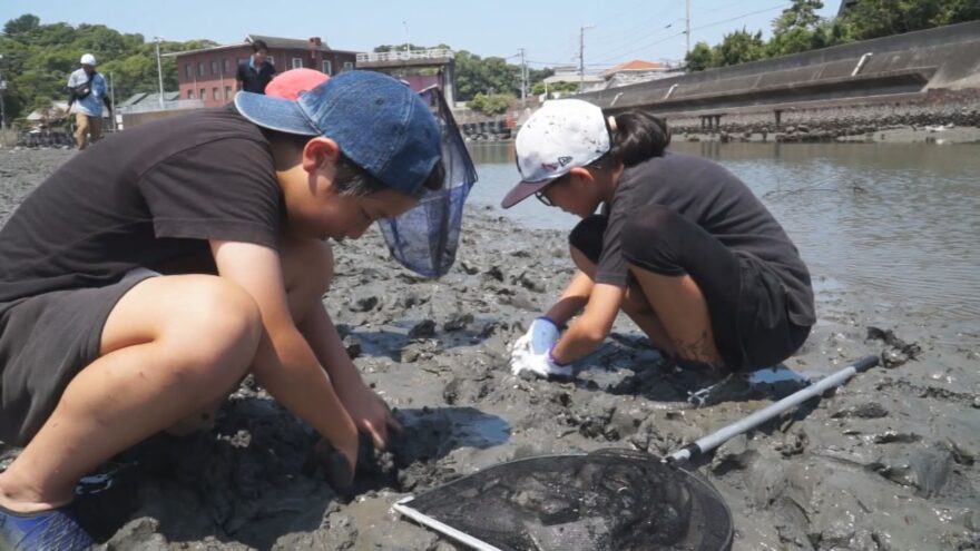 親子で発見！干潟の生き物観察会