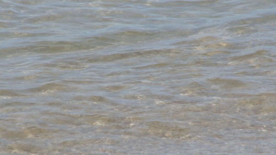 県内海水浴場水質調査　いずれも良好