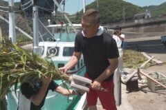 パンダの竹で産卵床
