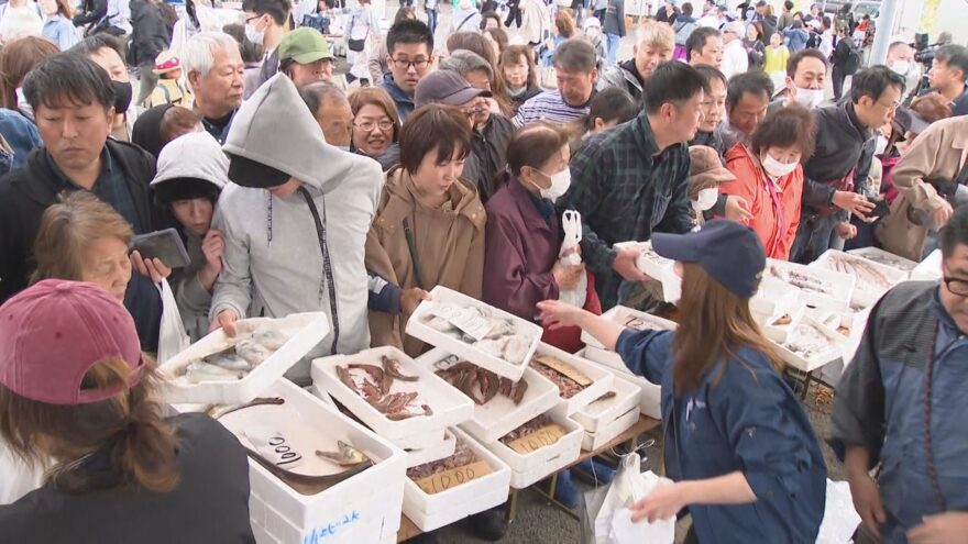 和歌浦漁港で「しらすまつり」