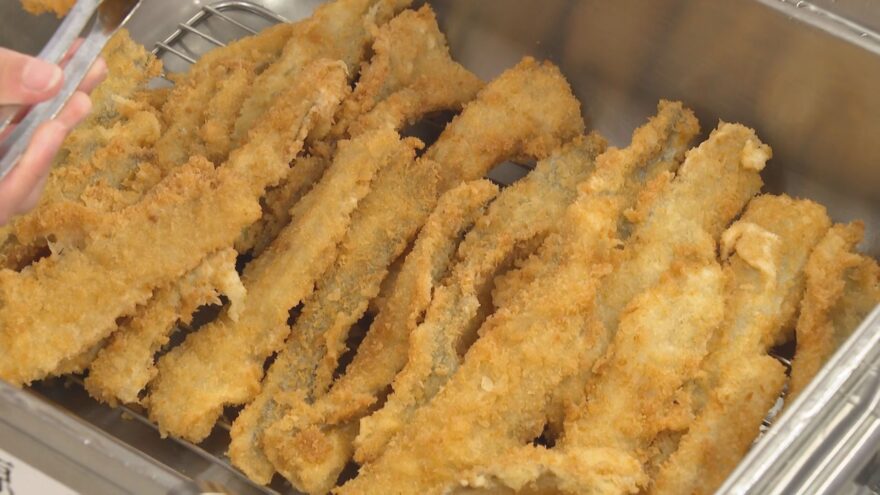 有田市「たっちょの日」の給食にたちうおフライ