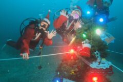 串本町の海中に「クリスマスツリー」が設置