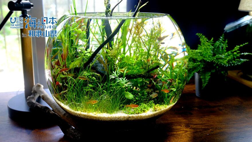 ボトルアクアリウムの魅力と水辺の環境