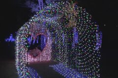 「くしもとイルミネーション」始まる