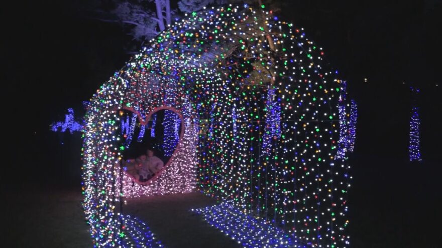 「くしもとイルミネーション」始まる