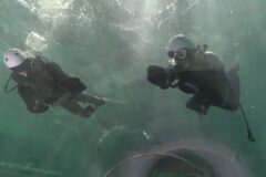 くじらの博物館で年末恒例の大掃除