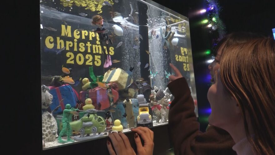 串本町の水族館で「クリスマス水槽」