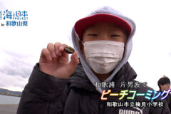 ビーチコーミングでふるさとの海を体感
