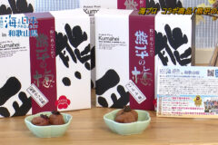 海プロコラボ商品　熊平の梅